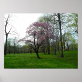 ポスター (正面)