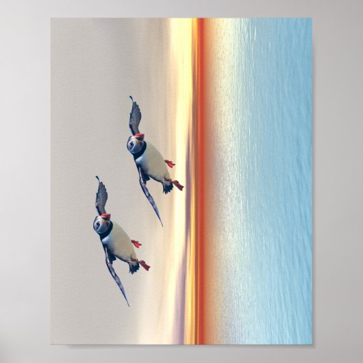 ポスター (正面)