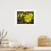 ポスター (キッチン)