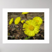 ポスター (正面)