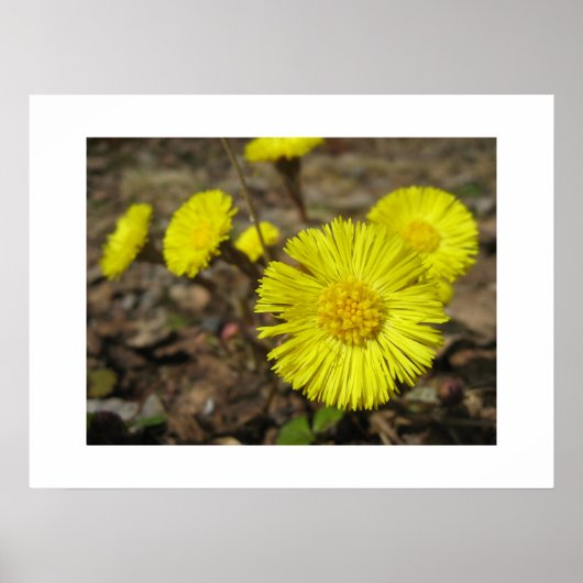 ポスター (正面)