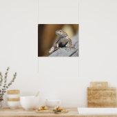 ポスター (キッチン)