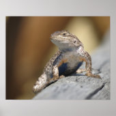 ポスター (正面)