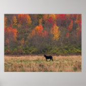 ポスター (正面)