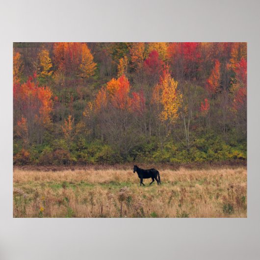 ポスター (正面)