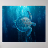 ポスター (正面)