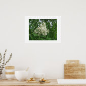 ポスター (キッチン)