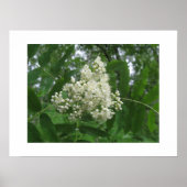 ポスター (正面)