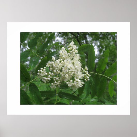 ポスター (正面)