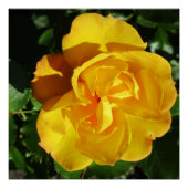 ポスター (正面)