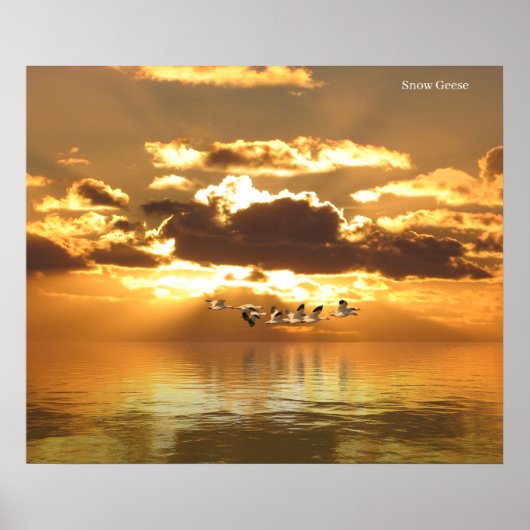 ポスター (正面)