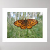 ポスター (正面)