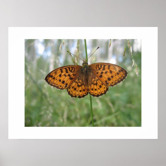 ポスター (正面)