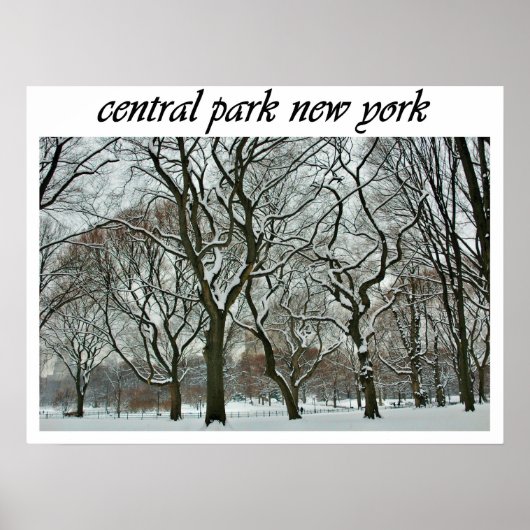 ポスター (正面)