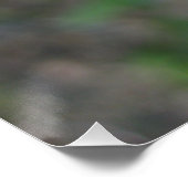 ポスター (コーナー)