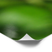 ポスター (コーナー)