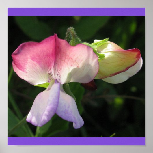 ポスター (正面)