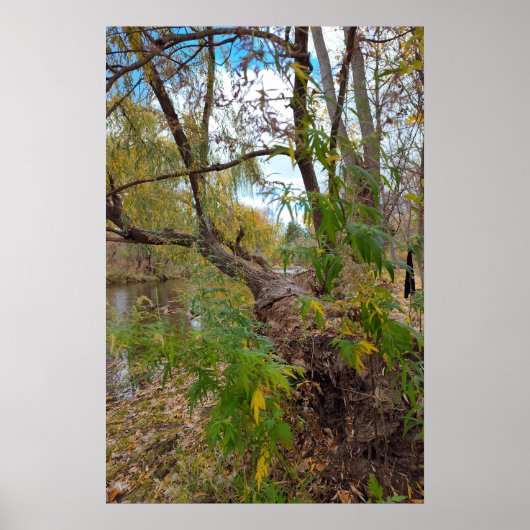 ポスター (正面)