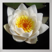 ポスター (正面)