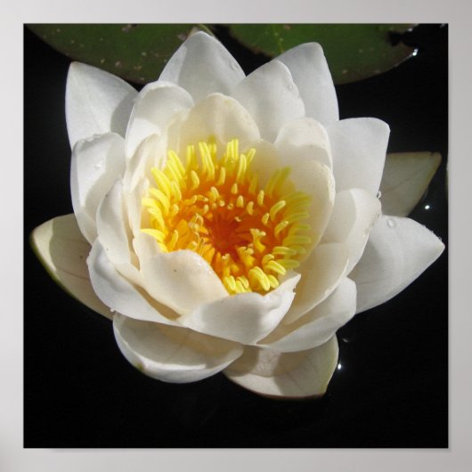 ポスター (正面)