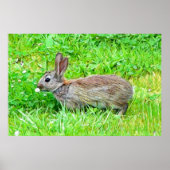 ポスター (正面)