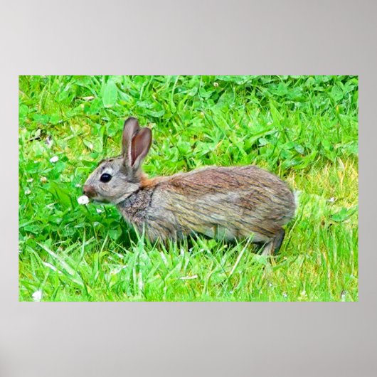 ポスター (正面)