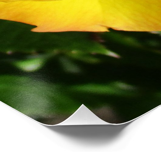 ポスター (コーナー)