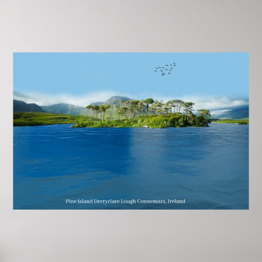 ポスター (正面)