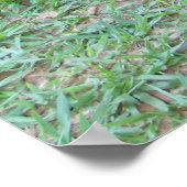 ポスター130cm de altura ポスター (角)