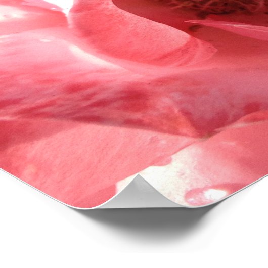 ポスター16 x 12 ポスター (角)