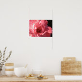 ポスター16 x 12 ポスター (キッチン)