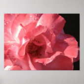 ポスター16 x 12 ポスター (正面)