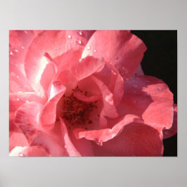 ポスター16 x 12 ポスター