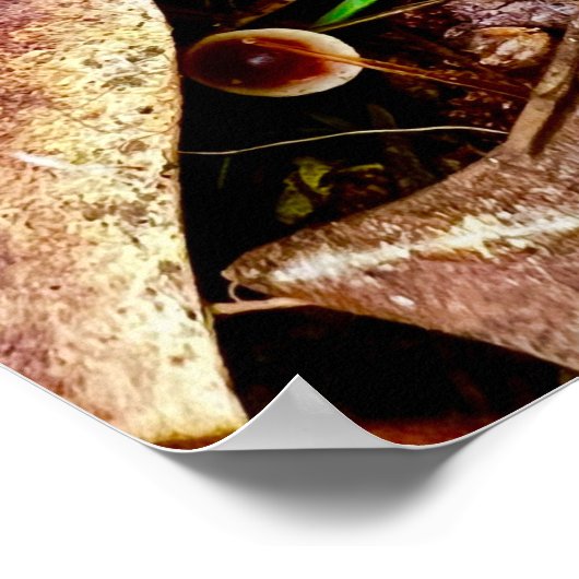 ポスター18 x 24 ポスター (角)