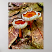 ポスター18 x 24 ポスター (正面)