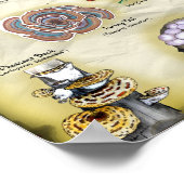 ポスター18x12キノコ(食用および薬用) ポスター (角)