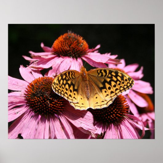 ポスター19x15インチ ポスター (正面)