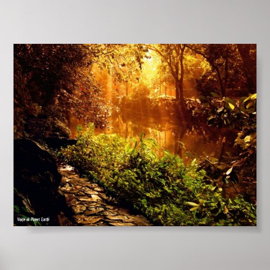 ポスター1 -自然 ポスター (正面)