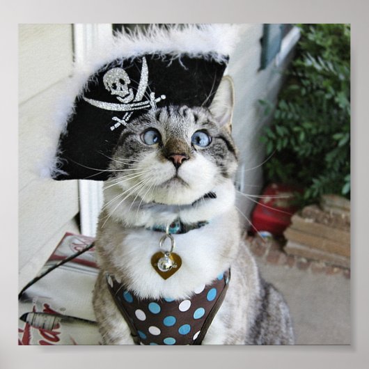 ポスター2 ポスター (正面)