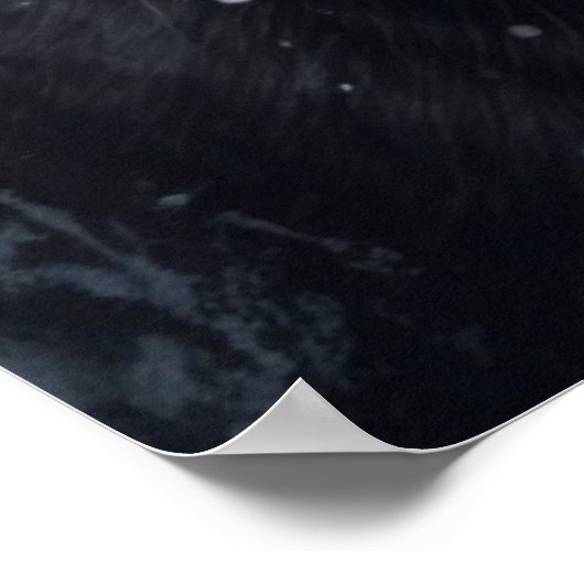 ポスター2 cat ポスター (角)