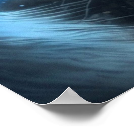 ポスター2 cat ポスター (角)