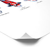 ポスター45種類のコイ ポスター (コーナー)