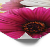 ポスター4 ポスター (角)