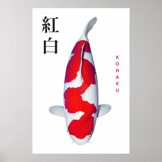 ポスター こはく色の鯉のエレガンス (正面)