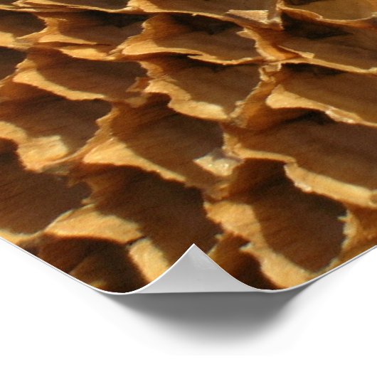 ポスター – ひまわり種子 (角)