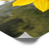 ポスター – ひまわり (角)