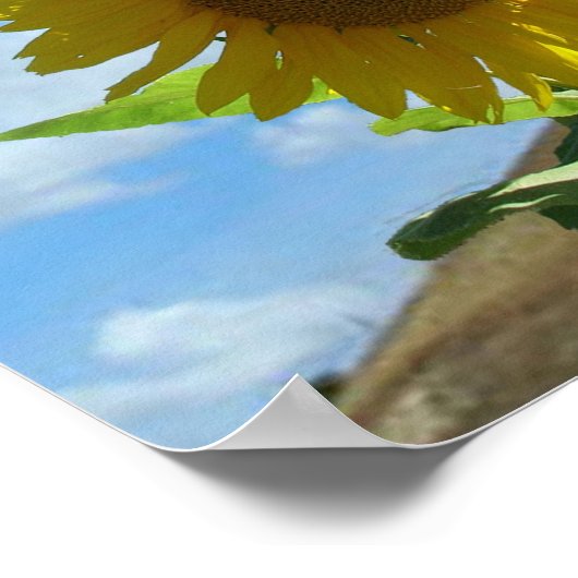 ポスター – ひまわり (角)