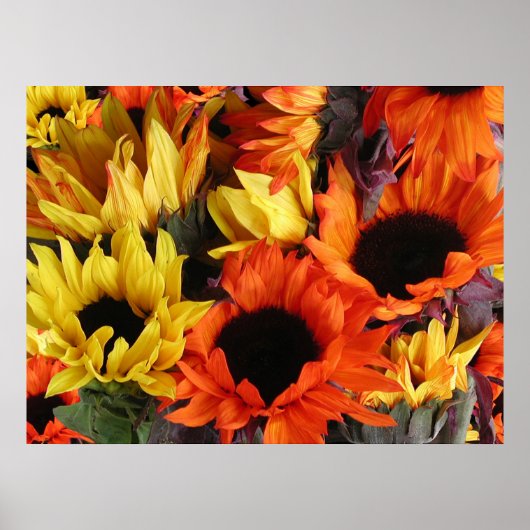 ポスター、ひまわり# 1 ポスター (正面)