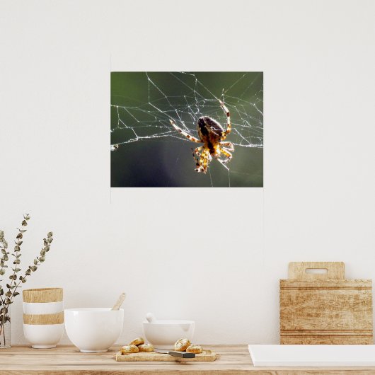 ポスター – もつれくもの巣 (キッチン)