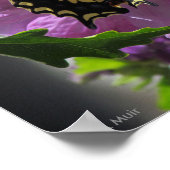 ポスター – アゲハチョウ蝶 (角)